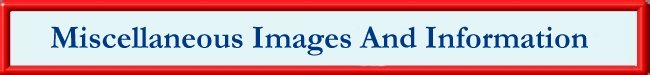 Misc. Pix