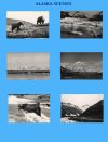Alaska Scenes